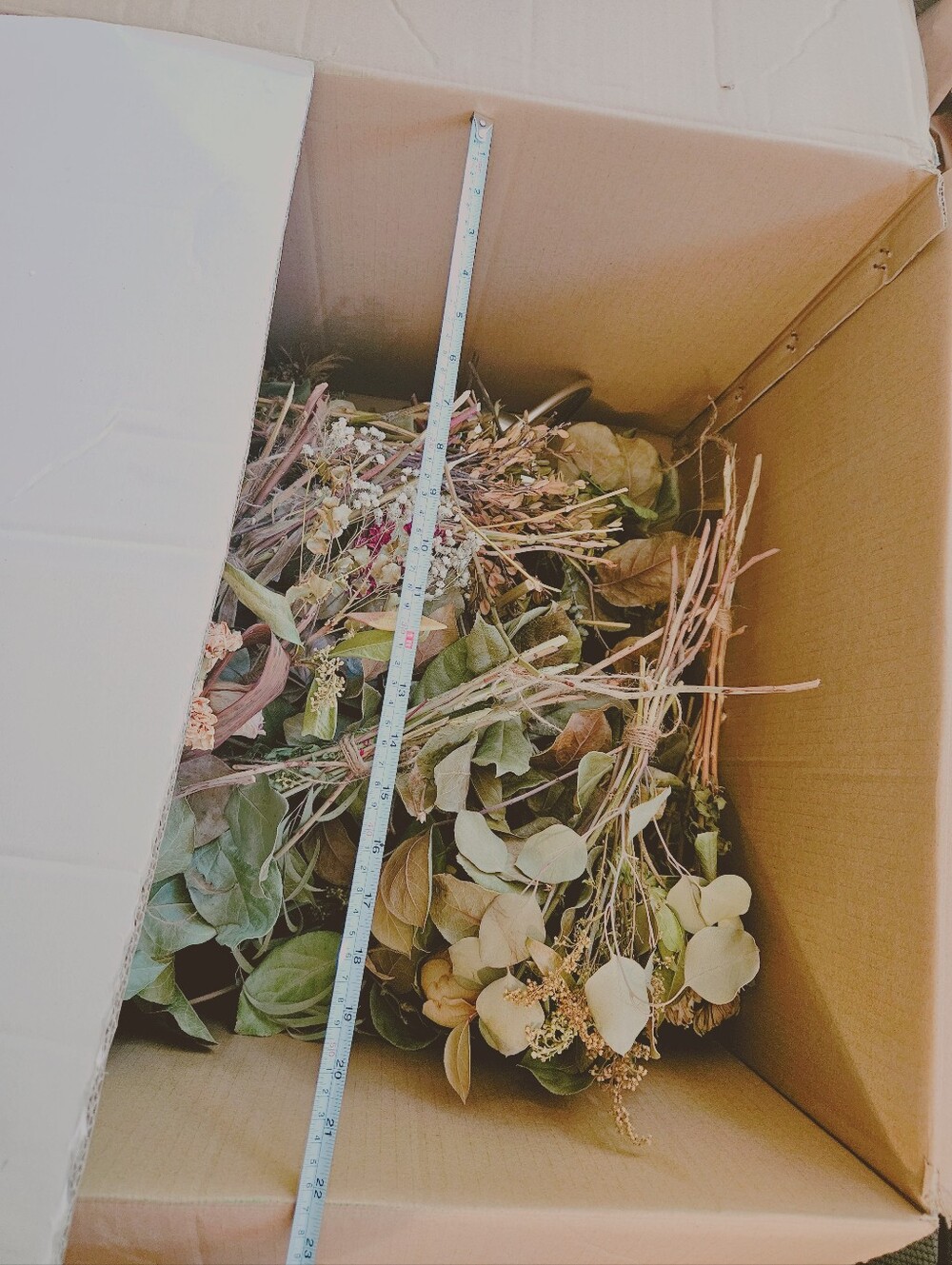 Dried Floral Bundle in Natural Beige and Green - Unbranded Huge Box Dried Flower